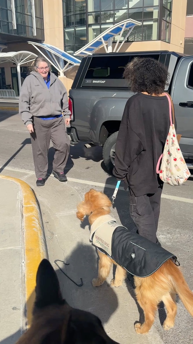Handler and service dog in vest walking through a parking lot during public access training