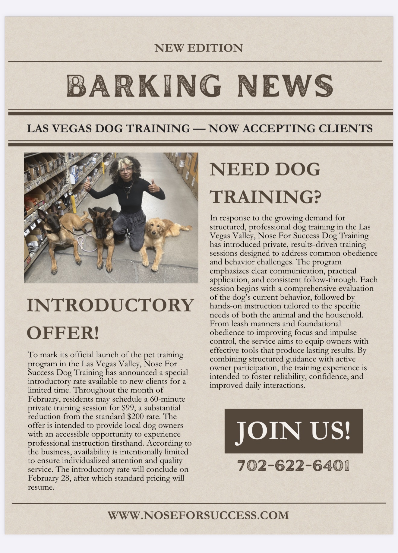 Trainer with dogs in a pet store during a socialization outing