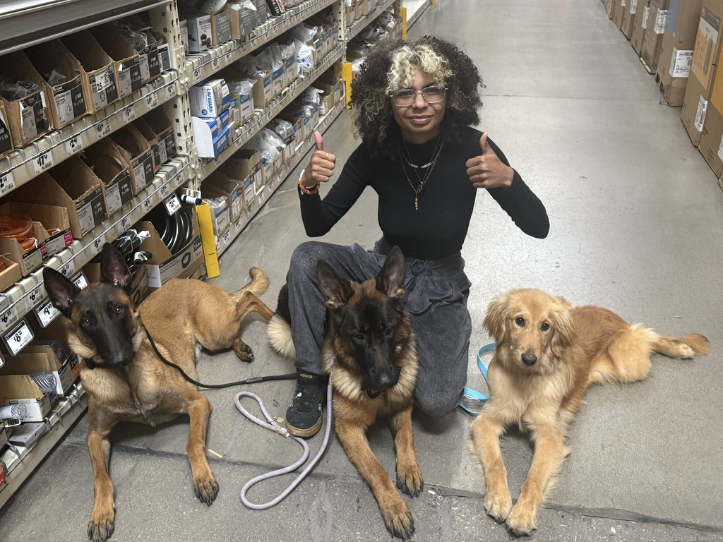Trainer giving thumbs up with Malinois, German Shepherd, and Golden Retriever in a hardware store aisle