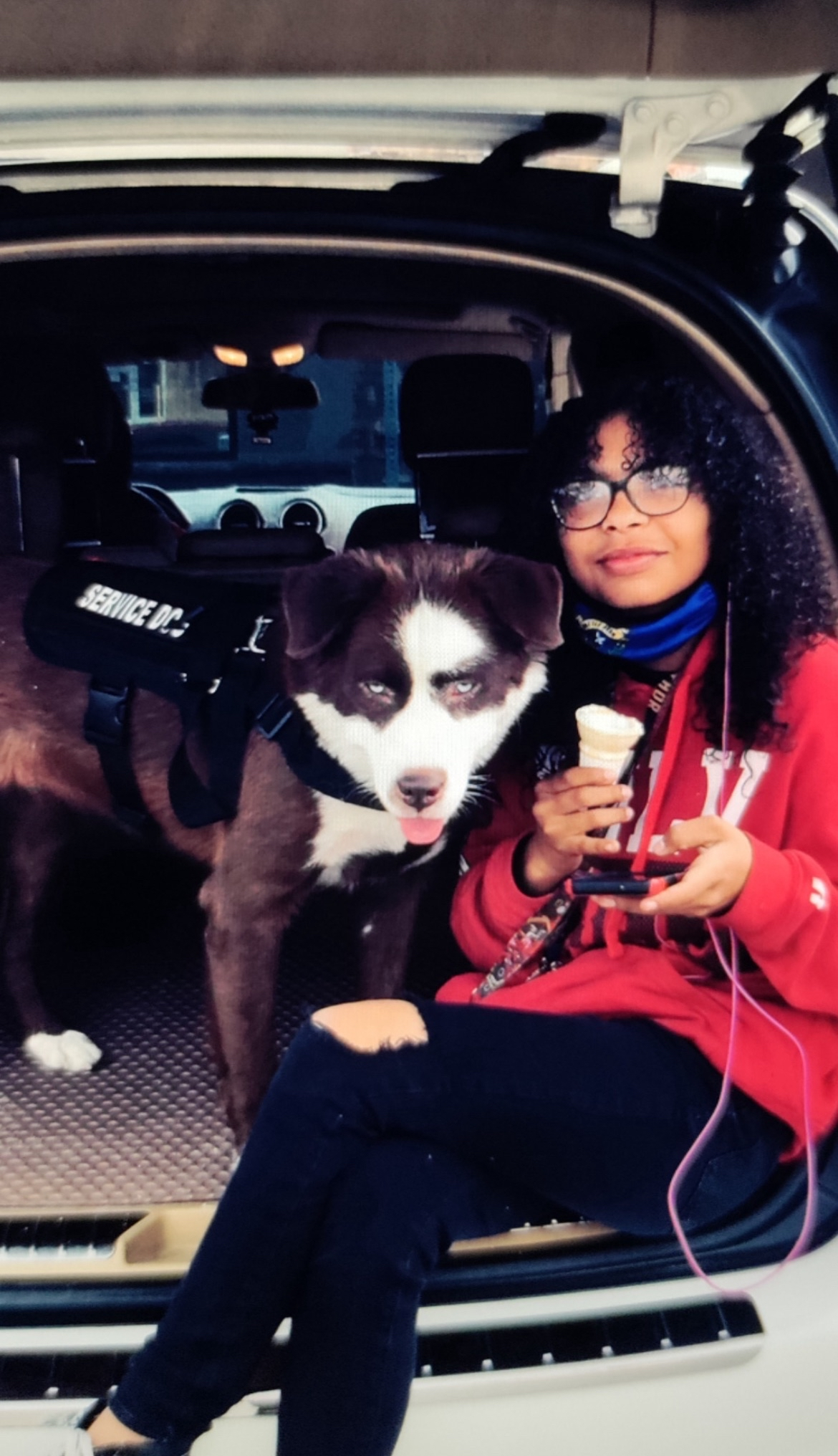 Nose For Success founder wearing red jacket sitting in vehicle with black and white service dog puppy in training vest, demonstrating hands-on approach to early socialization and real-world training environments Nose For Success founder wearing red jacket sitting in vehicle with black and white service dog puppy in training vest, demonstrating hands-on approach to early service dog socialization and real-world training environments